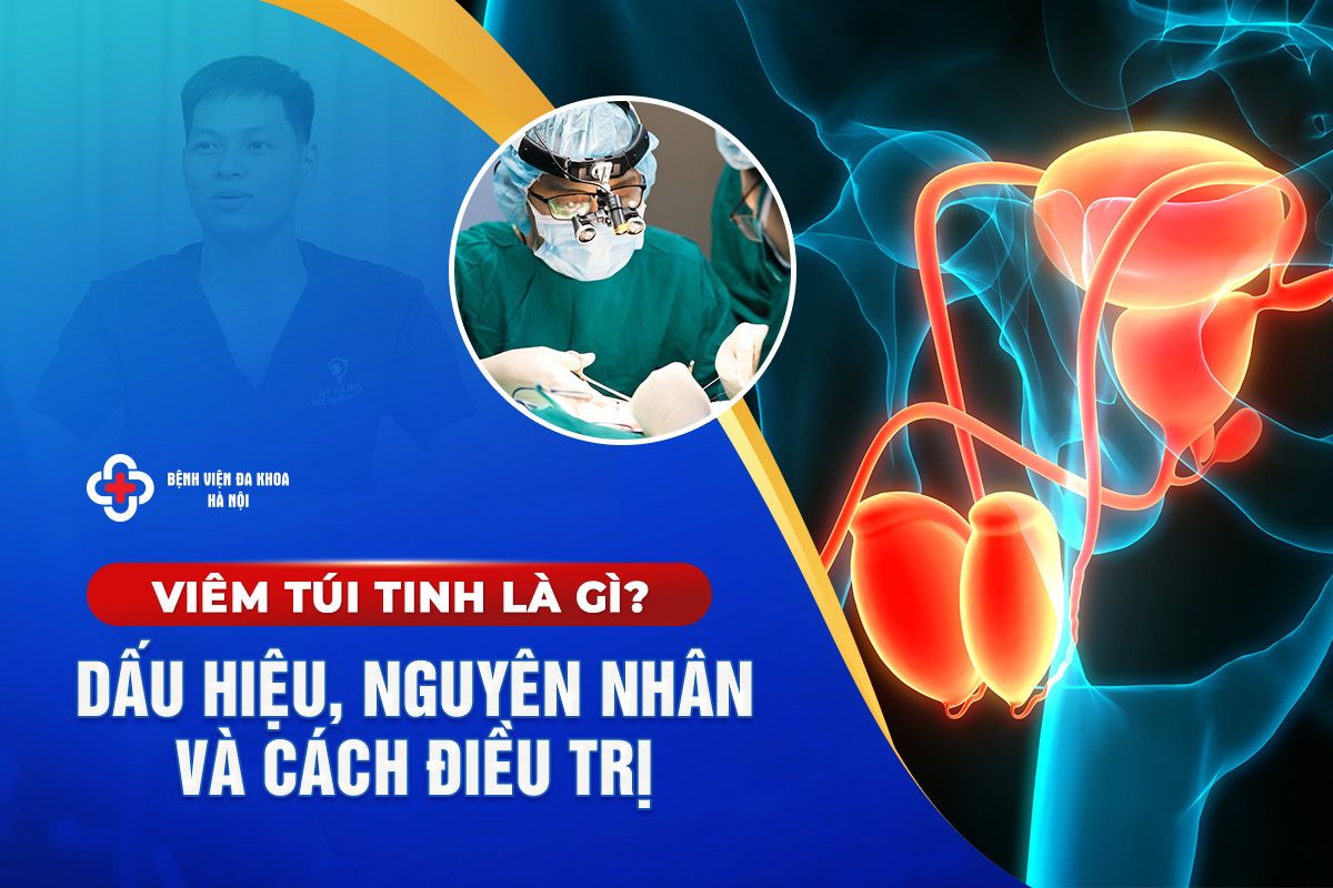 Viêm Túi Tinh Là Gì? Dấu Hiệu, Nguyên Nhân Và Cách Điều Trị