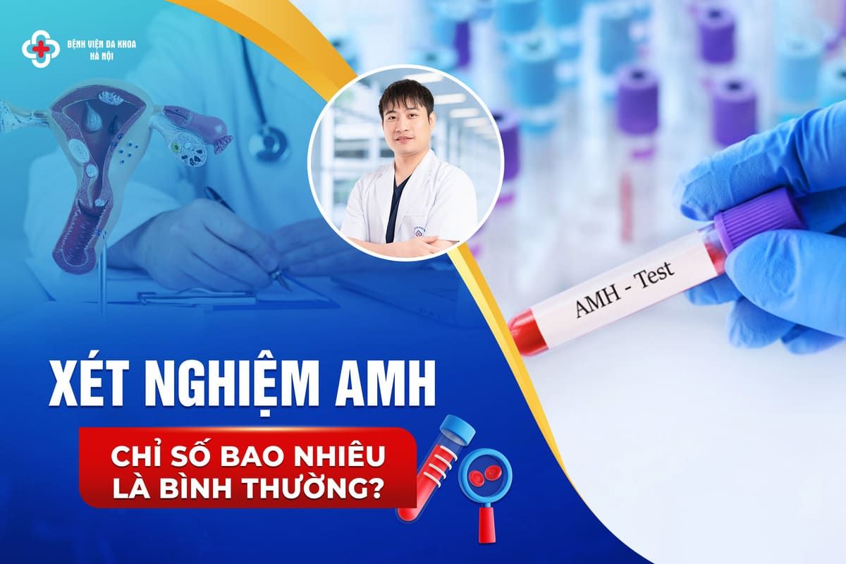 Xét nghiệm AMH: Chỉ số bao nhiêu là bình thường? Xét nghiệm AMH: Chỉ số bao nhiêu là bình thường? Xét nghiệm AMH: Chỉ số bao nhiêu là bình thường? Xét nghiệm AMH: Chỉ số bao nhiêu là bình thường?