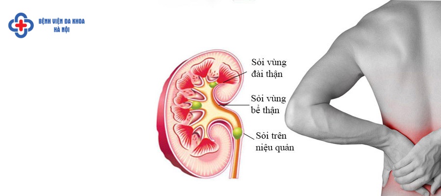 5. Khi Nào Cần Đến Bác Sĩ