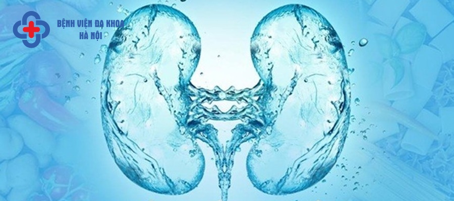 Thận ứ nước là biến chứng thường gặp của sỏi niệu quản 