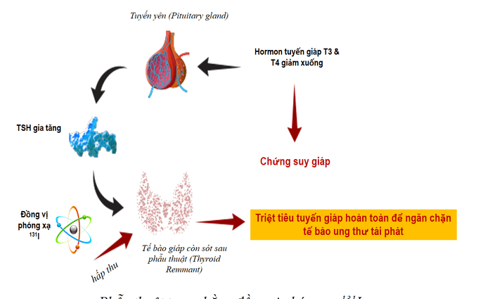 10. Những Ai Không Nên Sử Dụng I-131?