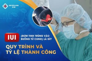 IUI Bơm Tinh Trùng Vào Buồng Tử Cung - Chi phí, Quy Trình & Tỷ lệ