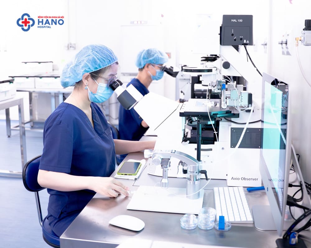 IVF hoạt động như thế nào