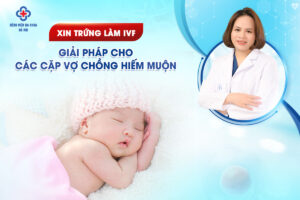 Xin Trứng Làm IVF Giải Pháp Cho Các Cặp Vợ Chồng Hiếm Muộn