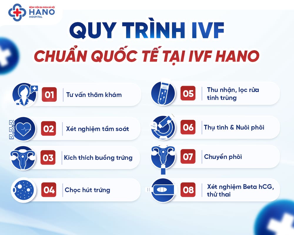 Các bước trong quy trình IVF