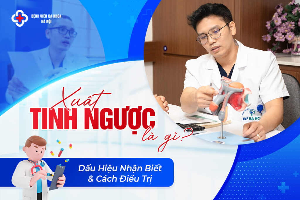 Xuất Tinh Ngược Là Gì? Dấu Hiệu Nhận Biết & Cách Điều Trị