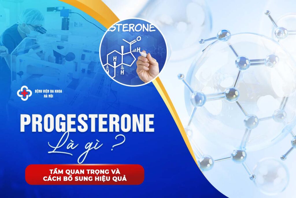 Progesterone Là Gì? Tầm Quan Trọng Và Cách Bổ Sung Hiệu Quả