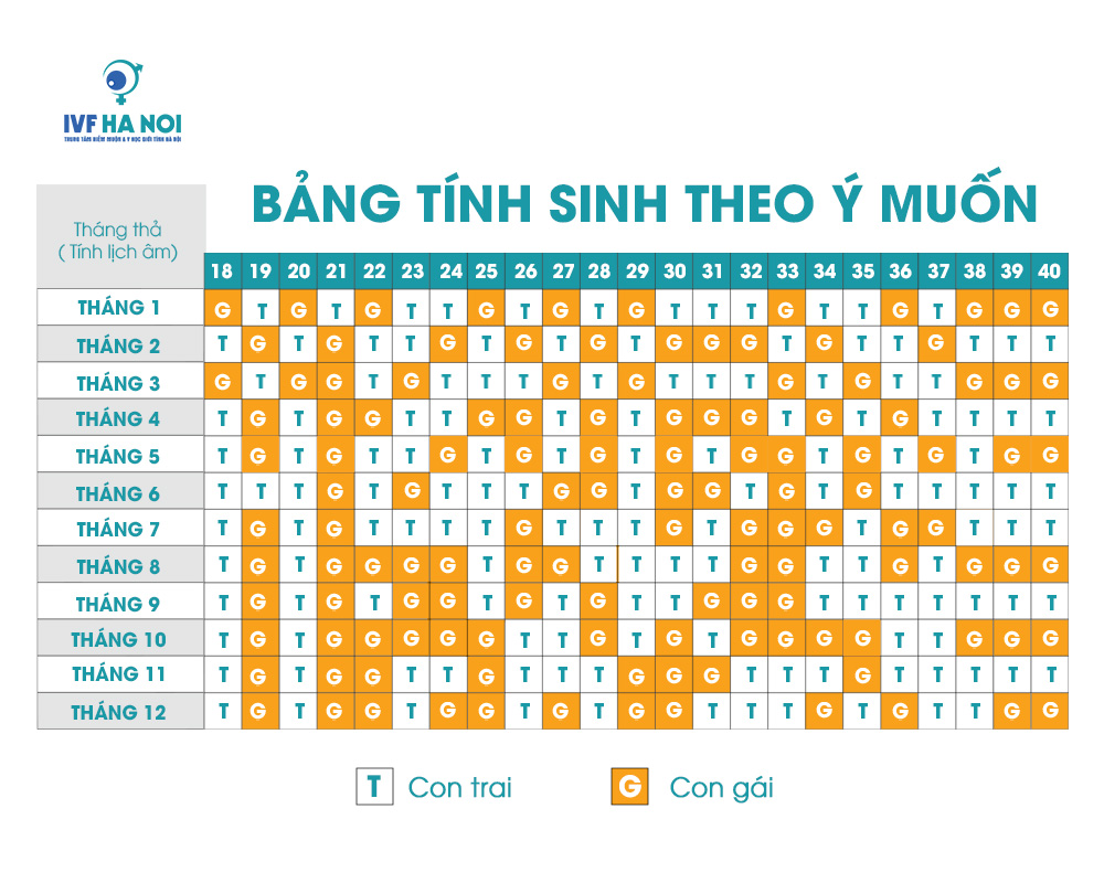 LỊCH VẠN NIÊN 2026 CUNG CẤP THÔNG TIN NGÀY ÂM VÀ DƯƠNG CHI TIẾT