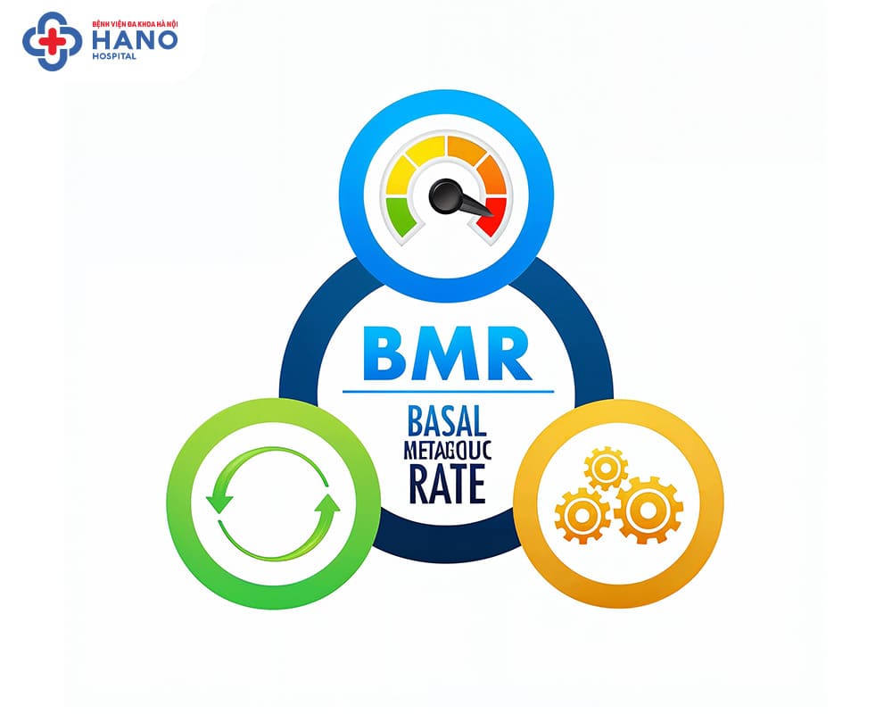 Thang đo BMR