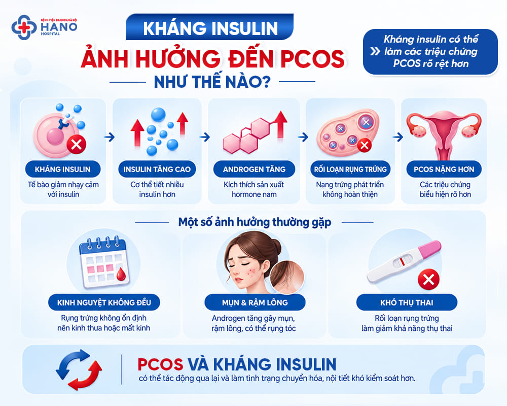 Kháng insulin ảnh hưởng đến PCOS như thế nào?
