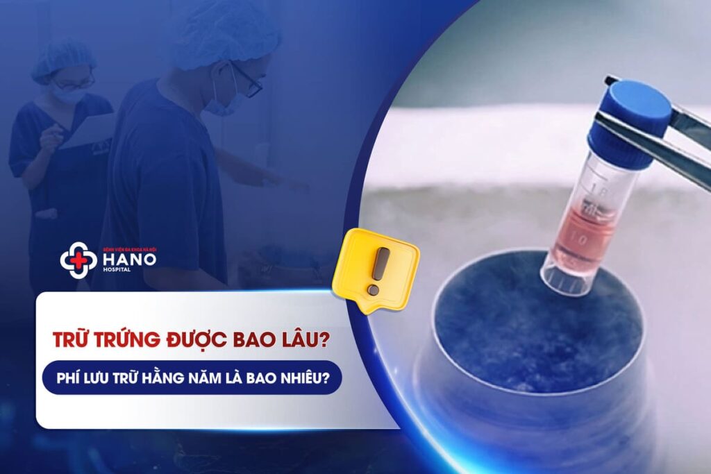Trữ Trứng Được Bao Lâu? Phí Lưu Trữ Hằng Năm Là Bao Nhiêu?