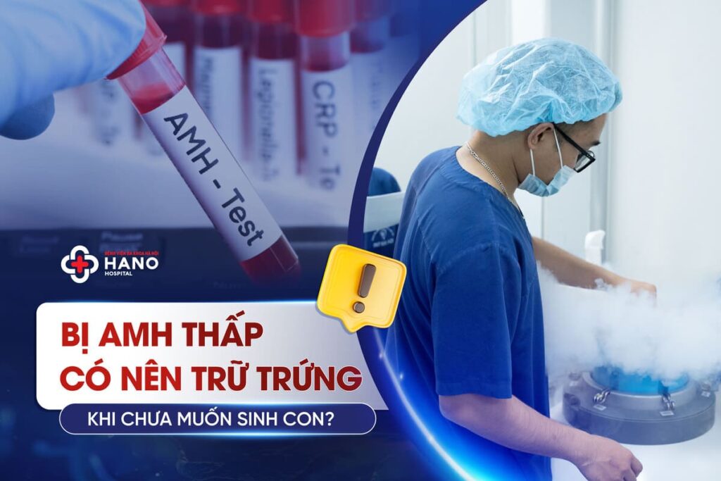 Bị AMH Thấp Có Nên Trữ Trứng Khi Chưa Muốn Sinh Con?