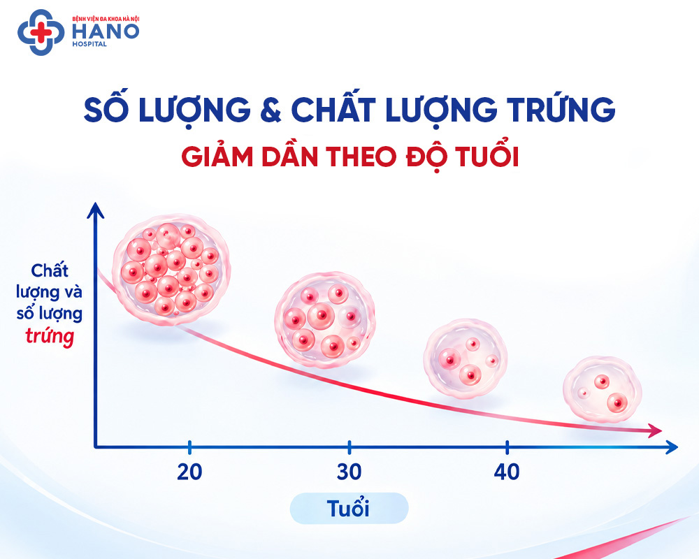 Dự trữ buồng trứng thay đổi như thế nào theo tuổi?